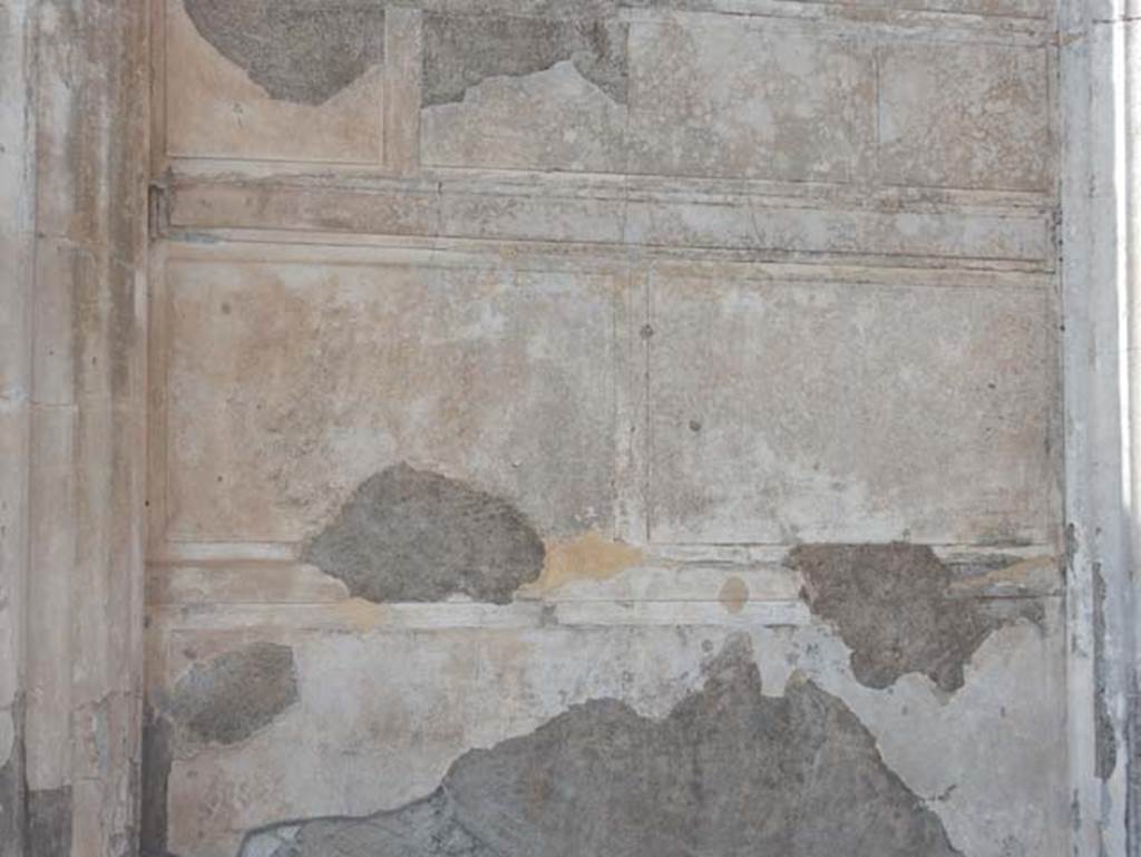 VIII.1.1 Pompeii, May 2018.Basilica, detail from north wall. Photo courtesy of Buzz Ferebee.