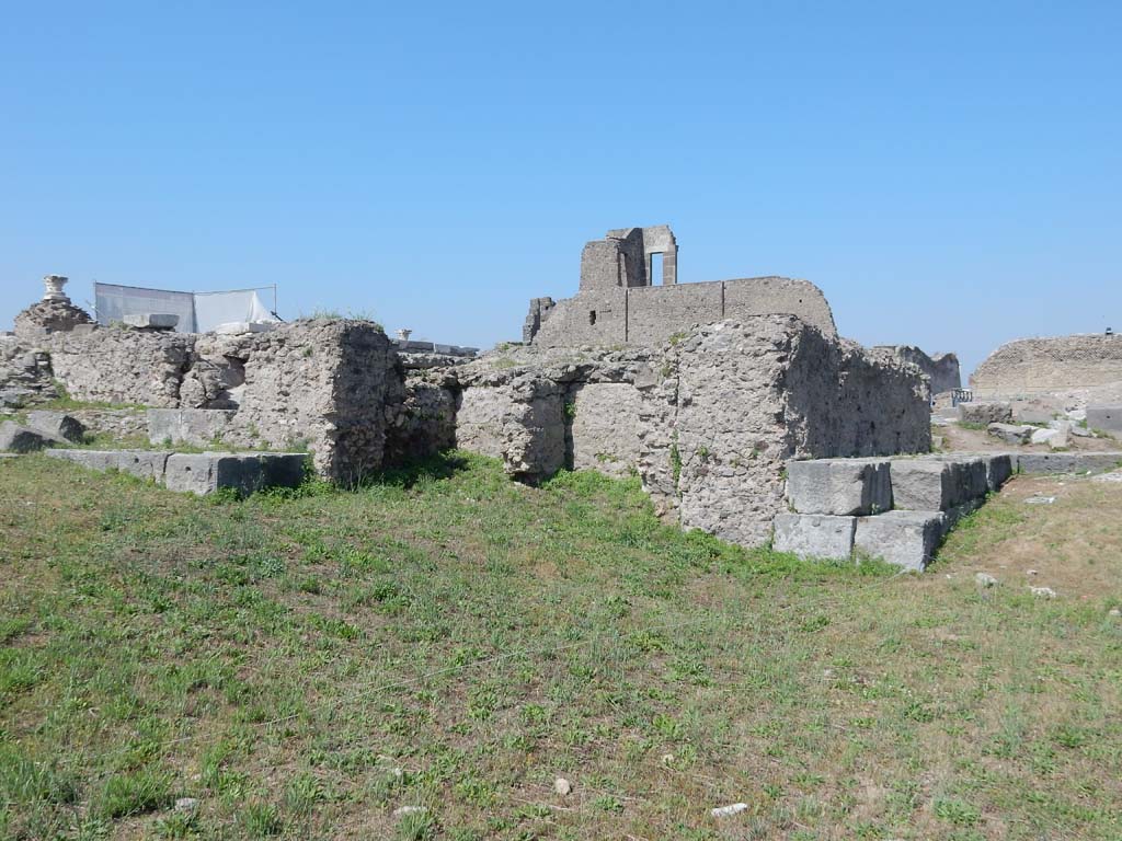 VIII.1.3 Pompeii. June 2019. Looking north-east from west side. Photo courtesy of Buzz Ferebee

