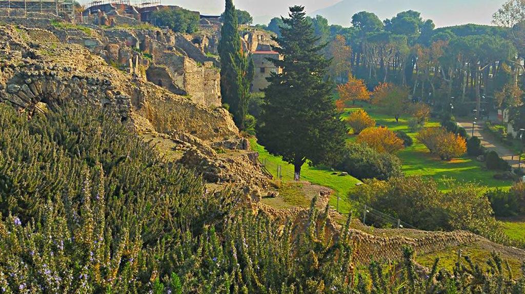 VIII.1.3 Pompeii. 2015/2016. 
Looking south-east across rear of VIII.1 and VIII.2, from exit of site. Photo courtesy of Giuseppe Ciaramella.
