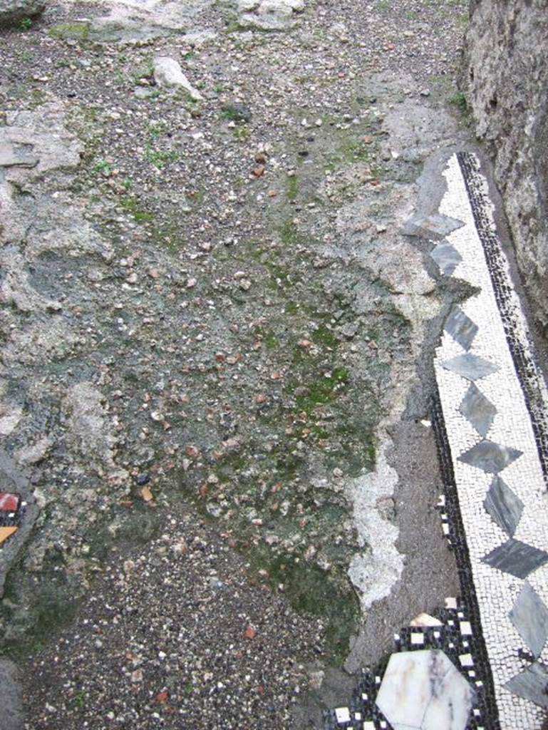 VIII.2.1 Pompeii. December 2005. Mosaic in fauces or entrance corridor.