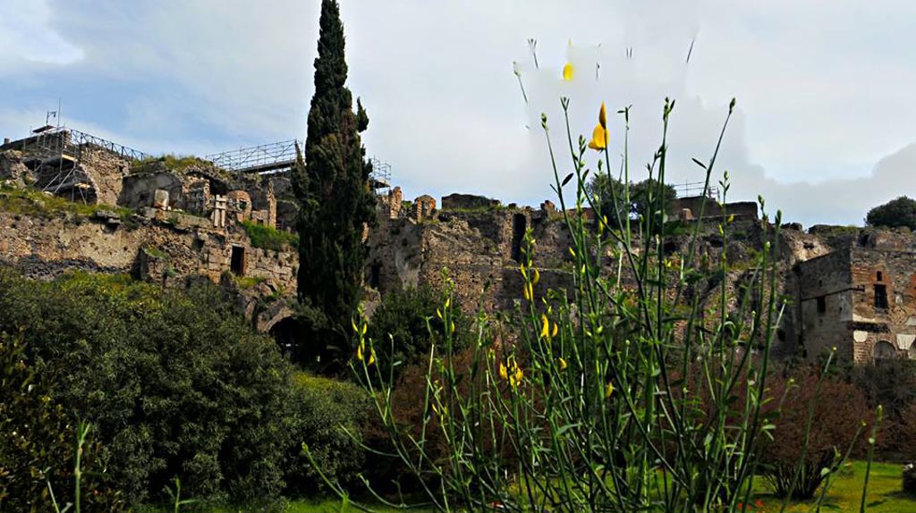 VIII.2.1 Pompeii. 2016/2017. Lower rear floors, behind conifer on left. Photo courtesy of Giuseppe Ciaramella.