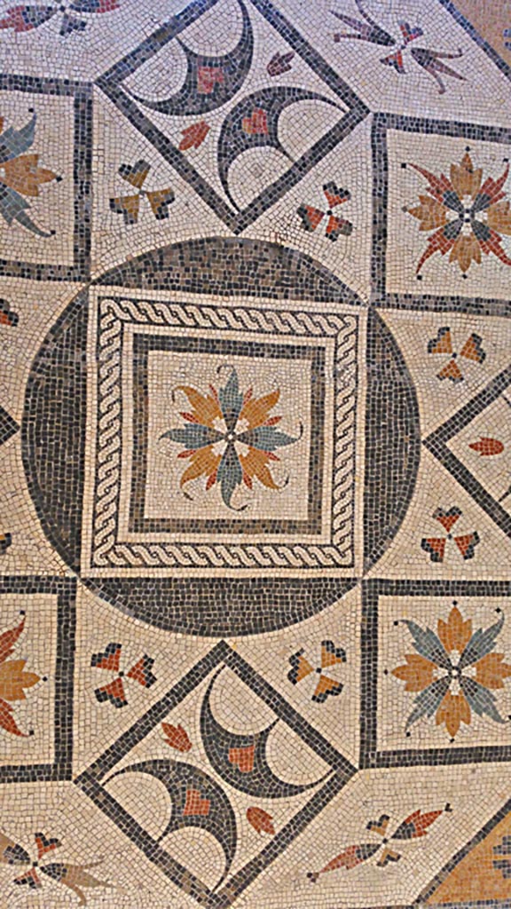VIII.2.1 Pompeii or Villa Urbana, Varano, Stabia. July 2019.  
Detail of beautiful coloured central mosaic set into floor in Naples Archaeological Museum, “Magna Grecia” collection. 
Photo courtesy of Giuseppe Ciaramella.

