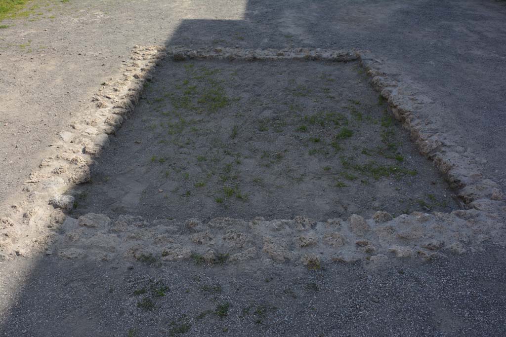 VIII.2.3 Pompeii. March 2019. Looking south across impluvium in atrium.
Foto Annette Haug, ERC Grant 681269 DÉCOR.
