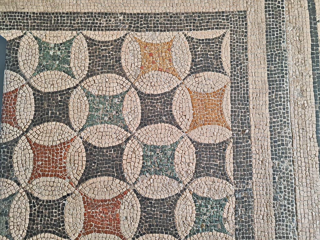 VIII.2.3 Pompeii (?) or Villa dei Papiri, Herculaneum. June 2024. 
Detail of panel of polychrome tesserae with circles that intersect to form polygons set into floor in room CXXX (130) of Naples Archaeological Museum. This is described by them as being from the Library of the Villa dei Papiri. Photo courtesy of Giuseppe Ciaramella.

