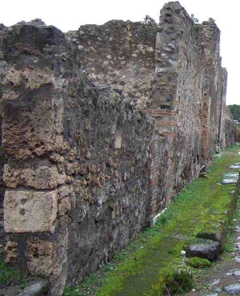 VIII.2.4 Pompeii. December 2005. Blocked entrance (with white step).