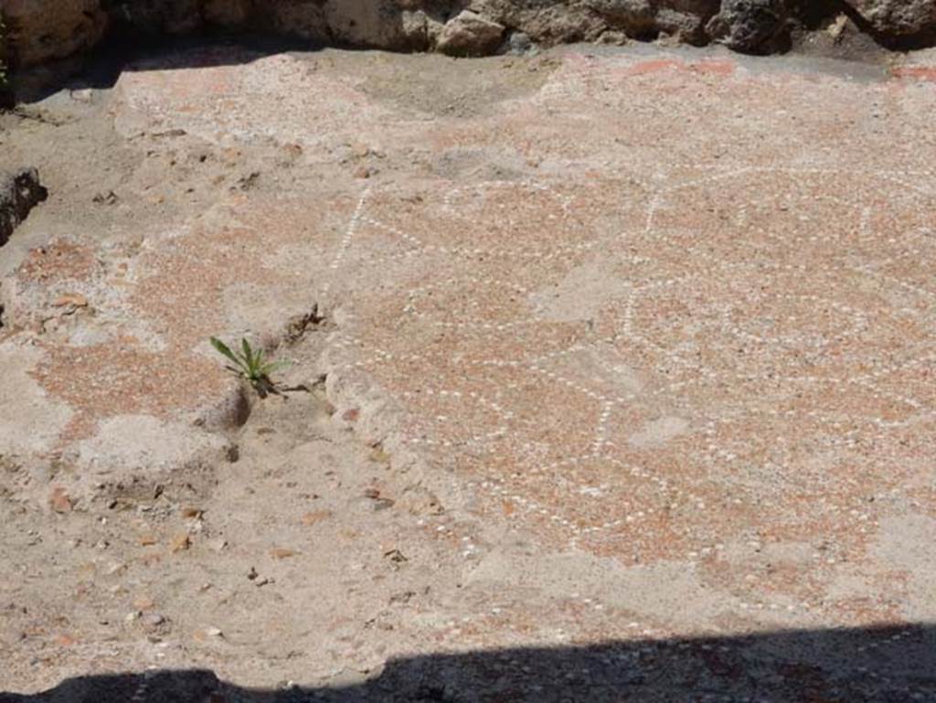 VIII.2.13 Pompeii. May 2018. Flooring of portico and triclinium. Photo courtesy of Buzz Ferebee.

