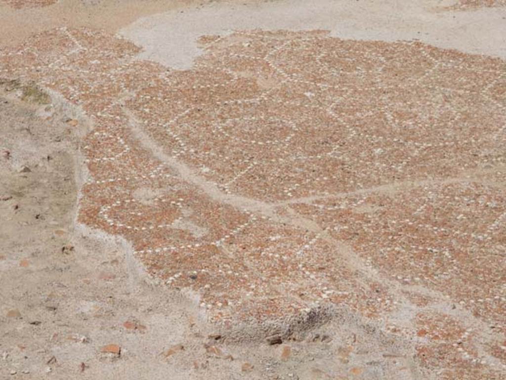 VIII.2.13 Pompeii. May 2018. Flooring of portico and triclinium. Photo courtesy of Buzz Ferebee.

