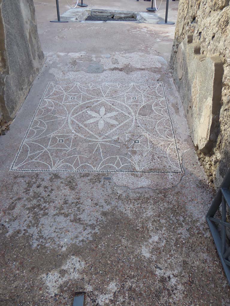 VIII.2.13 Pompeii. January 2017. 
Looking west from entrance doorway along flooring in entrance corridor.
Foto Annette Haug, ERC Grant 681269 DÉCOR.

