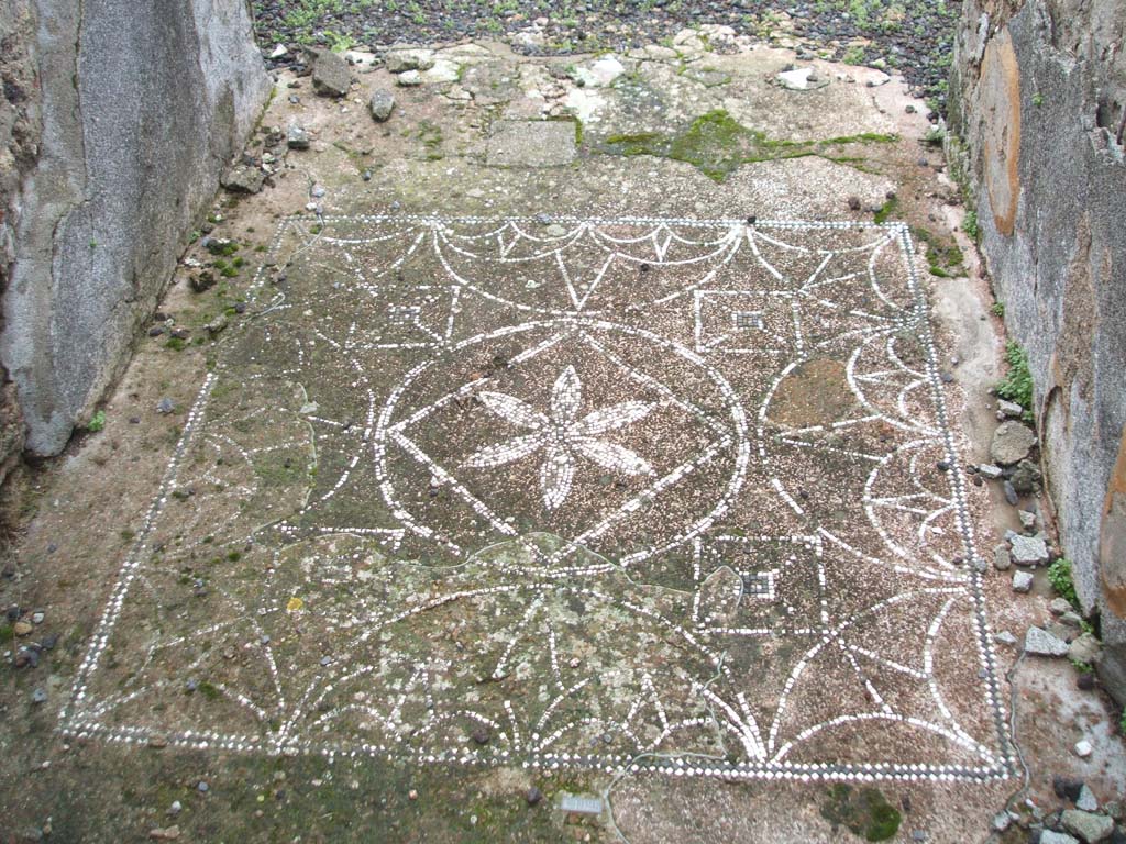 VIII.2.13 Pompeii. December 2004. Mosaic in entrance corridor.