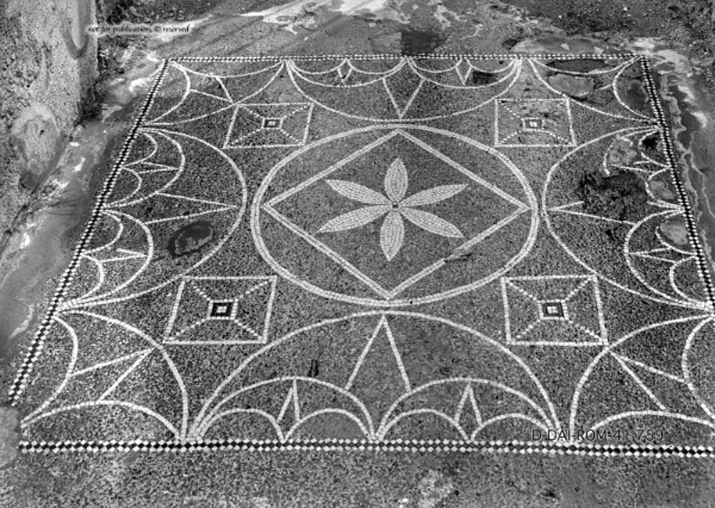 VIII.2.13 Pompeii. c.1930. Mosaic in vestibule/entrance corridor.
DAIR 41.759. Photo © Deutsches Archäologisches Institut, Abteilung Rom, Arkiv.
See Pernice, E.  1938. Pavimente und Figürliche Mosaiken: Die Hellenistische Kunst in Pompeji, Band VI. Berlin: de Gruyter, (tav. 46.4, above.)
