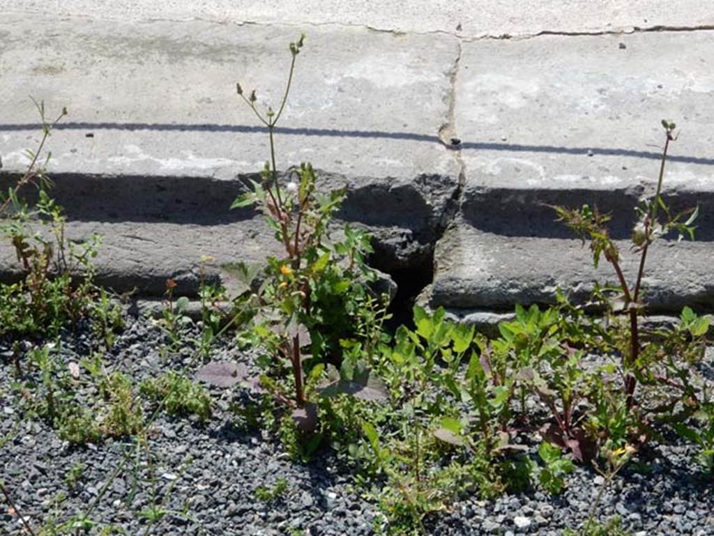 VIII.2.13 Pompeii. May 2018. Detail of impluvium. Photo courtesy of Buzz Ferebee.