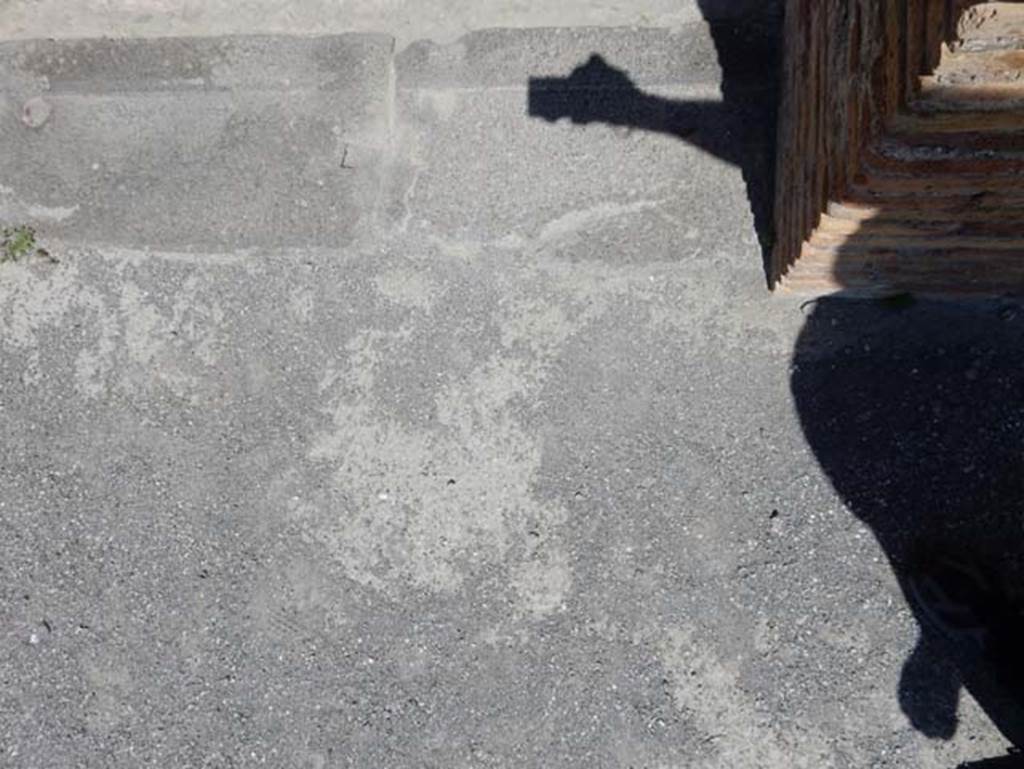 VIII.2.14 Pompeii. May 2018. Detail of threshold to room, and atrium flooring. Photo courtesy of Buzz Ferebee.