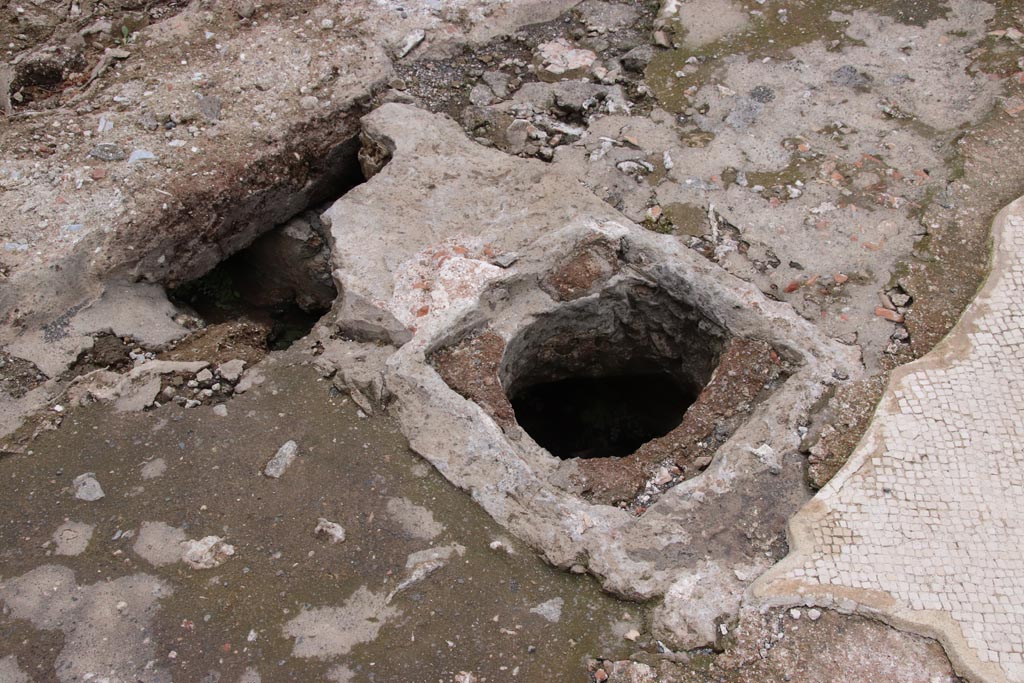 VIII.2.16 Pompeii. May 2024. Detail from west end of impluvium. Photo courtesy of Klaus Heese.