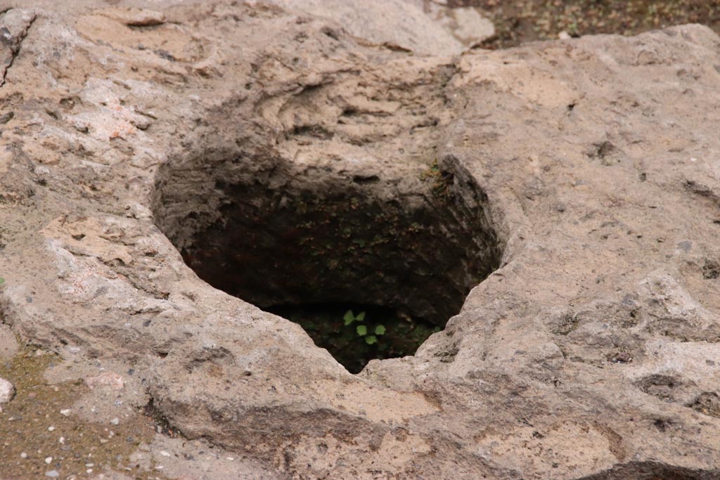 VIII.2.16 Pompeii. May 2024. Detail of cistern-mouth at east end of impluvium. Photo courtesy of Klaus Heese.