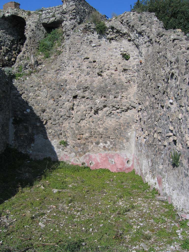 VIII.2.16 Pompeii. March 2004. Room 223, (or Room 10), looking north-east. 
On the west side of this room was the vaulted corridor 201, top left
According to BdI, above  
The zoccolo/dado/plinth in this room would have been red, above this would only have been rough plaster.
Photo courtesy of Sandra Zanella.
