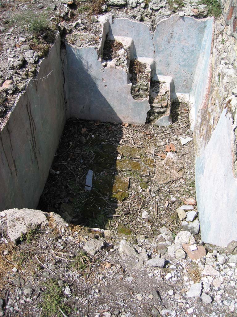 VIII.2.16 Pompeii. April 2004. 
Looking west towards pool with steps in area 213. Photo courtesy of Sandra Zanella.

