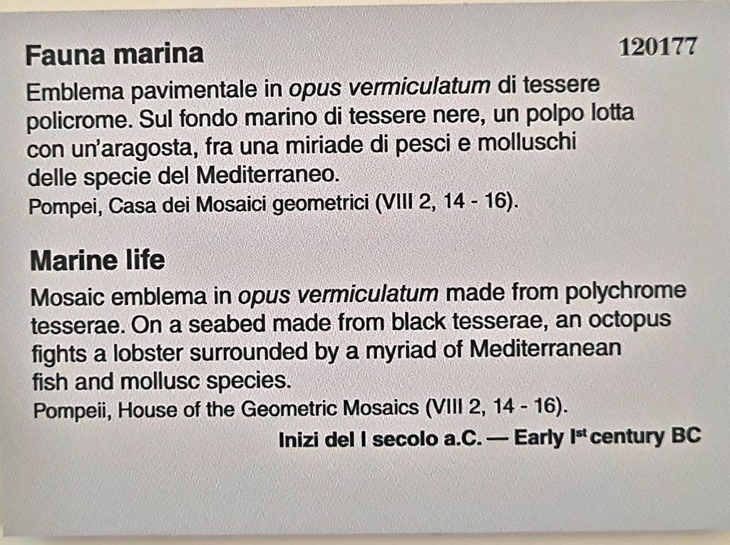  
VIII.2.16 Pompeii. Information card from Naples Archaeological Museum. Photo courtesy of Giuseppe Ciaramella. September 2024
