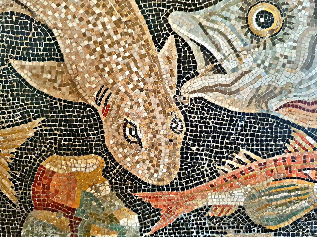 VIII.2.16 Pompeii. September 2024. Detail of fish from mosaic emblema found in triclinium. Photo courtesy of Giuseppe Ciaramella.Now in Naples Archaeological Museum, inv. no. 120177.