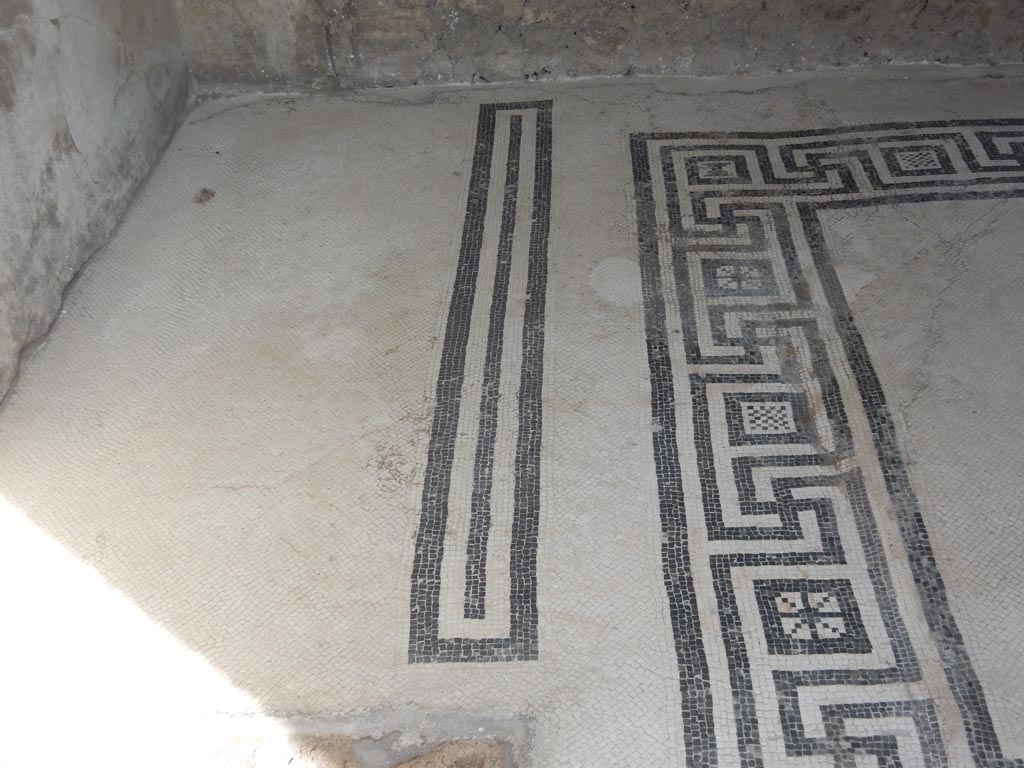 VIII.2.16 Pompeii. May 2017. Detail of mosaic floor on west side of cubiculum. Photo courtesy of Buzz Ferebee.