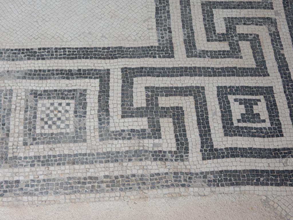 VIII.2.16 Pompeii. May 2017. Detail of mosaic flooring. Photo courtesy of Buzz Ferebee.