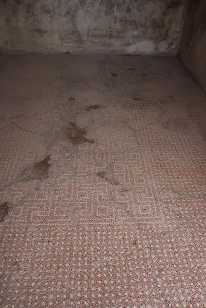 VIII.2.16 Pompeii. May 2024. 
Detail of flooring, with net of meanders and squares in centre of floor. Photo courtesy of Klaus Heese.

