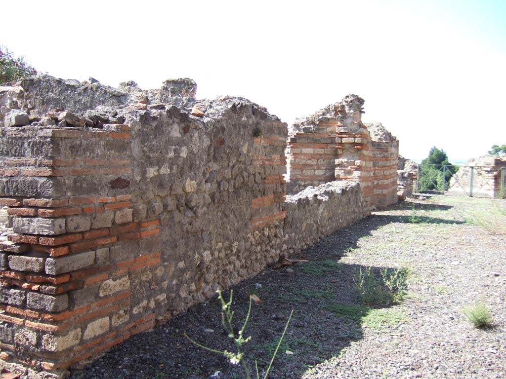 VIII.2.20 Pompeii. September 2005. Looking west along corridor
According to Jashemski, this was the wall of the triangular light-well. 
It had two large windows which gave light to the corridor which led from the street at entrance 20.
This corridor, which turned to the left, was lit by another window before it reached the peristyle.
The light-yard had a tufa gutter around the edges with a drain towards the east, apparently to the cistern,
The opening of the cistern could be seen in the kitchen on its east side.
See Jashemski, W. F., 1993. The Gardens of Pompeii, Volume II: Appendices. New York: Caratzas. (p.207)
