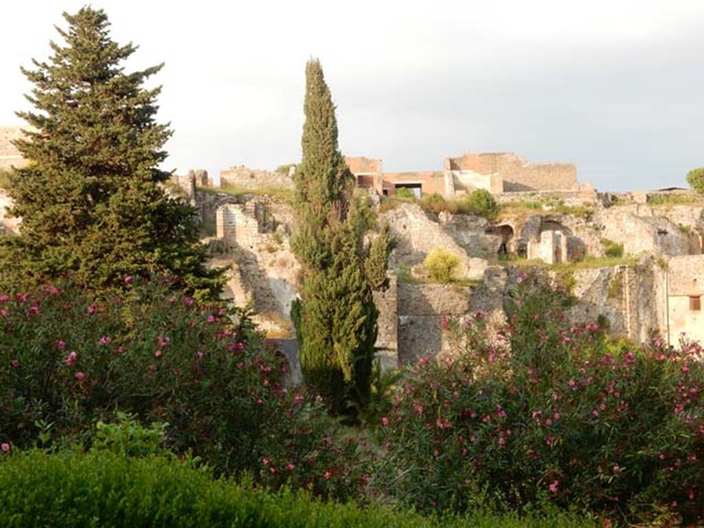 VIII.2.20 Pompeii, May 2018. Sarno Baths complex, on right, and lower areas of VIII.2.16, from the rear.  Photo courtesy of Buzz Ferebee.
