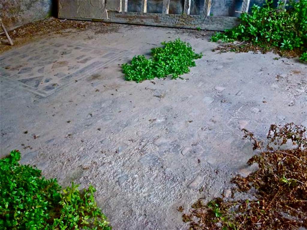 VIII.2.26 Pompeii. September 2011. Looking north-east across triclinium floor. 