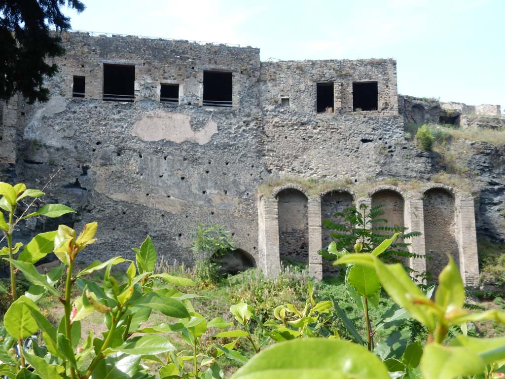 Rear of VIII.2.26, left, VIII.2.28, centre right, and VIII.2.29, on right, Pompeii. June 2019. Looking north.
Photo courtesy of Buzz Ferebee. 
