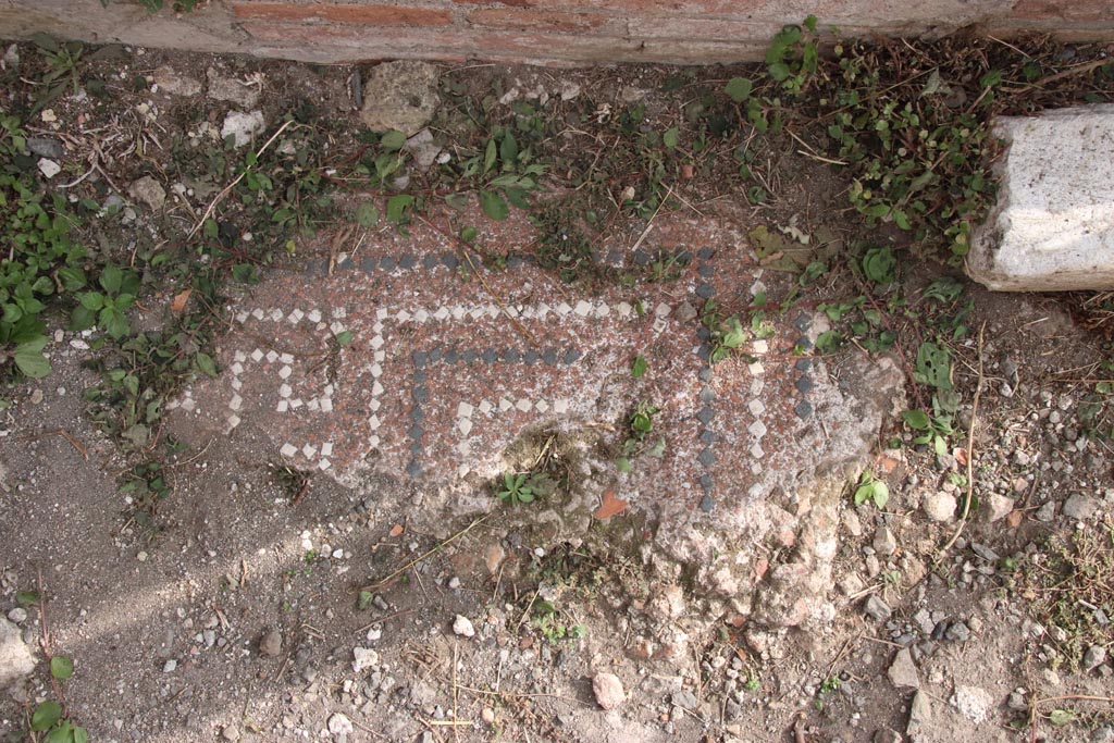 VIII.2.30 Pompeii. October 2023. Mosaic flooring on east side of vestibule/entrance corridor. Photo courtesy of Klaus Heese.