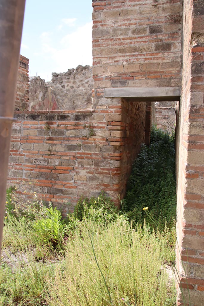 VIII.2.30 Pompeii. May 2024. 
Looking west towards doorway to the corridor in the west wall of the atrium leading into VIII.2.29. 
Photo courtesy of Klaus Heese.
