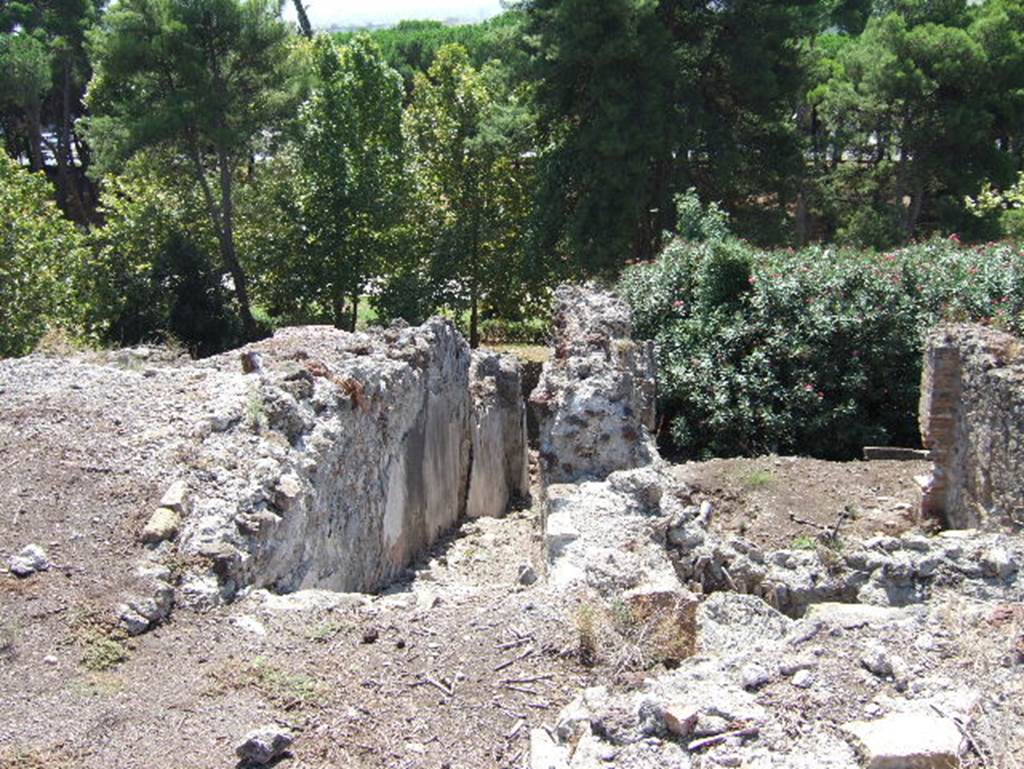 VIII.2.30 Pompeii. September 2005. Looking south from rear of large room on east side of tablinum on upper level, down steps to rear portico and garden. In the right front, would have been the kitchen, and at its rear on a lower level, would have been a large room leading onto the portico.

