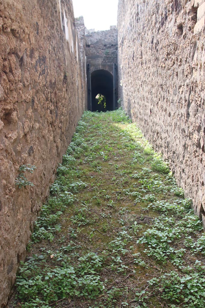 VIII.2.32 Pompeii. October 2023. Looking south from entrance. Photo courtesy of Klaus Heese.