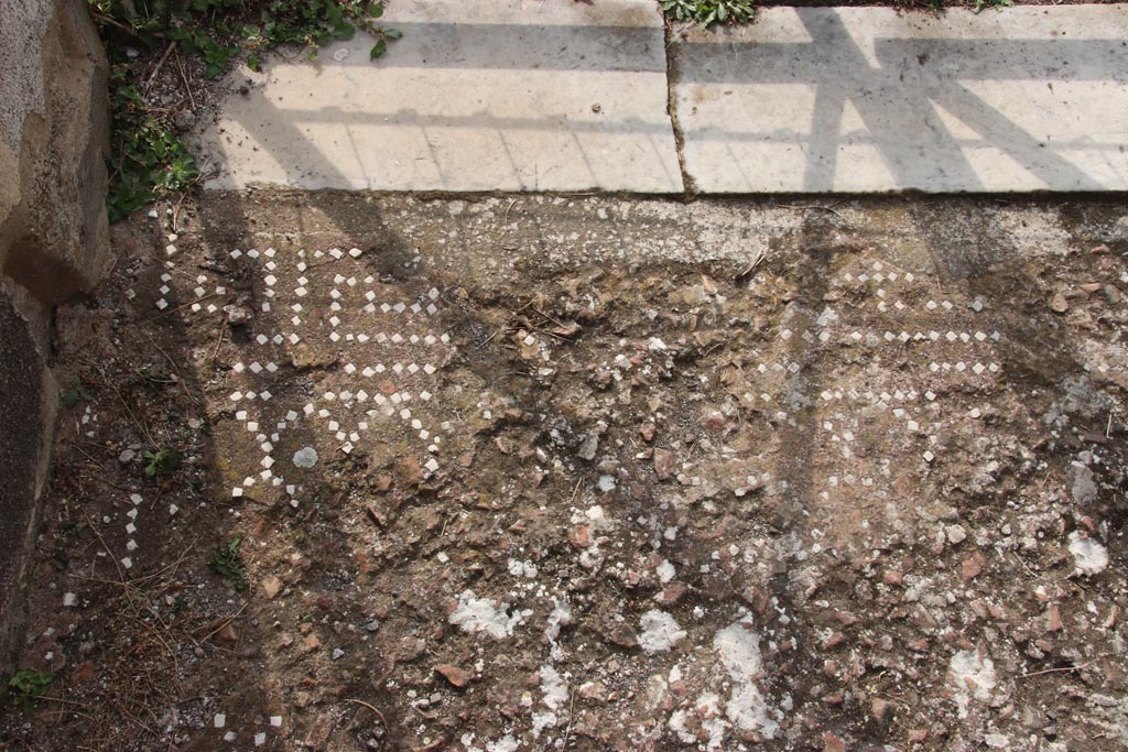 VIII.2.34 Pompeii. October 2023. Detail of flooring in entrance corridor at east side of south end. Photo courtesy of Klaus Heese.