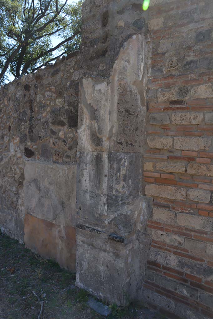 VIII.2.39 Pompeii. September 2019. East ala g, detail from south wall in south-east corner.
Foto Annette Haug, ERC Grant 681269 DÉCOR
