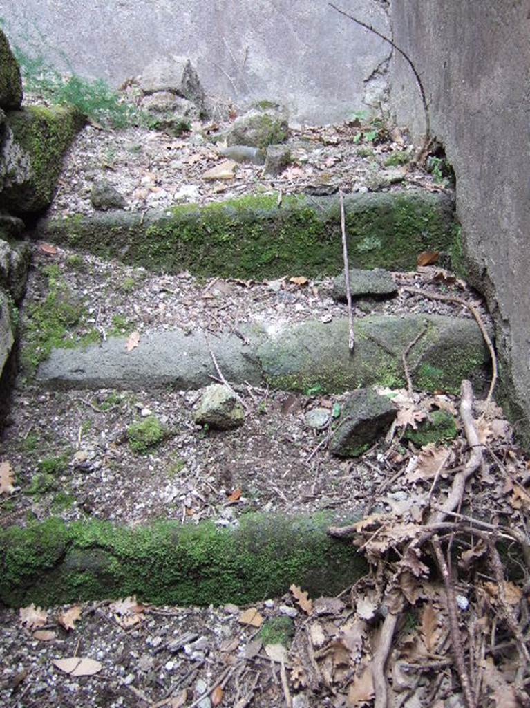 VIII.2.39 Pompeii. May 2006. Staircase e. Steps up from second lower floor to first lower floor
