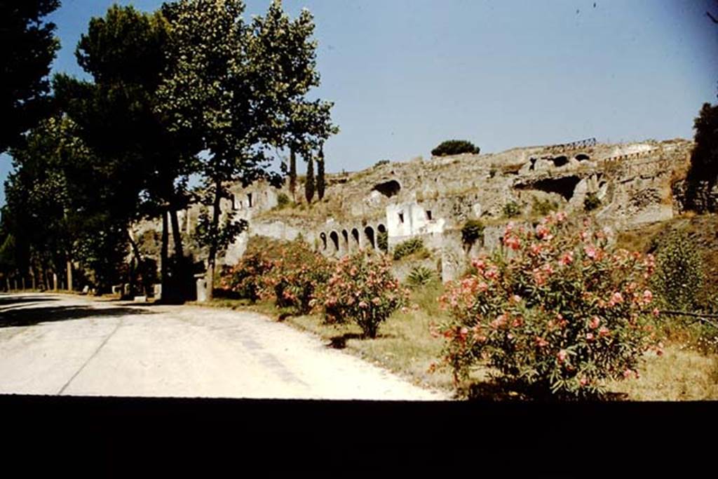 VIII.2, Pompeii, 1959. Looking west along rear from VIII.2.39. Photo by Stanley A. Jashemski.
Source: The Wilhelmina and Stanley A. Jashemski archive in the University of Maryland Library, Special Collections (See collection page) and made available under the Creative Commons Attribution-Non Commercial License v.4. See Licence and use details.
J59f0414
