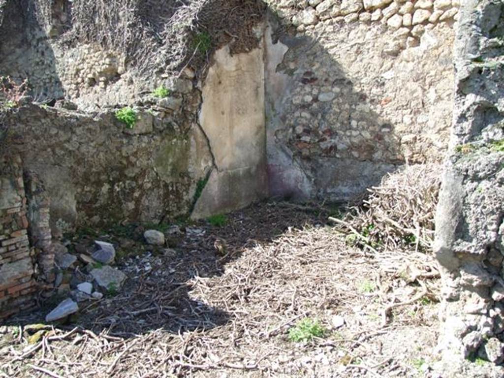 VIII.3.4 Pompeii.  March 2009.  Room 16. Oecus. South wall and south west corner.