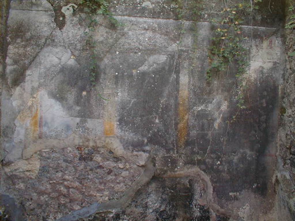 VIII.3.8 Pompeii. September 2004. Remains of painted wall decoration from south wall of room in south-west corner of peristyle. 