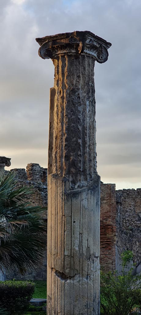 VIII.3.8 Pompeii. December 2023. 
Detail of column on east side of peristyle. Photo courtesy of Miriam Colomer.
