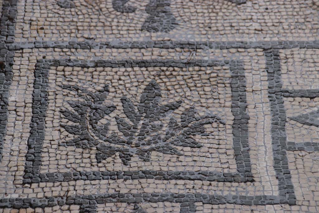 VIII.3.8 Pompeii. October 2020. Detail of mosaic in corridor/fauces. Photo courtesy of Klaus Heese. 