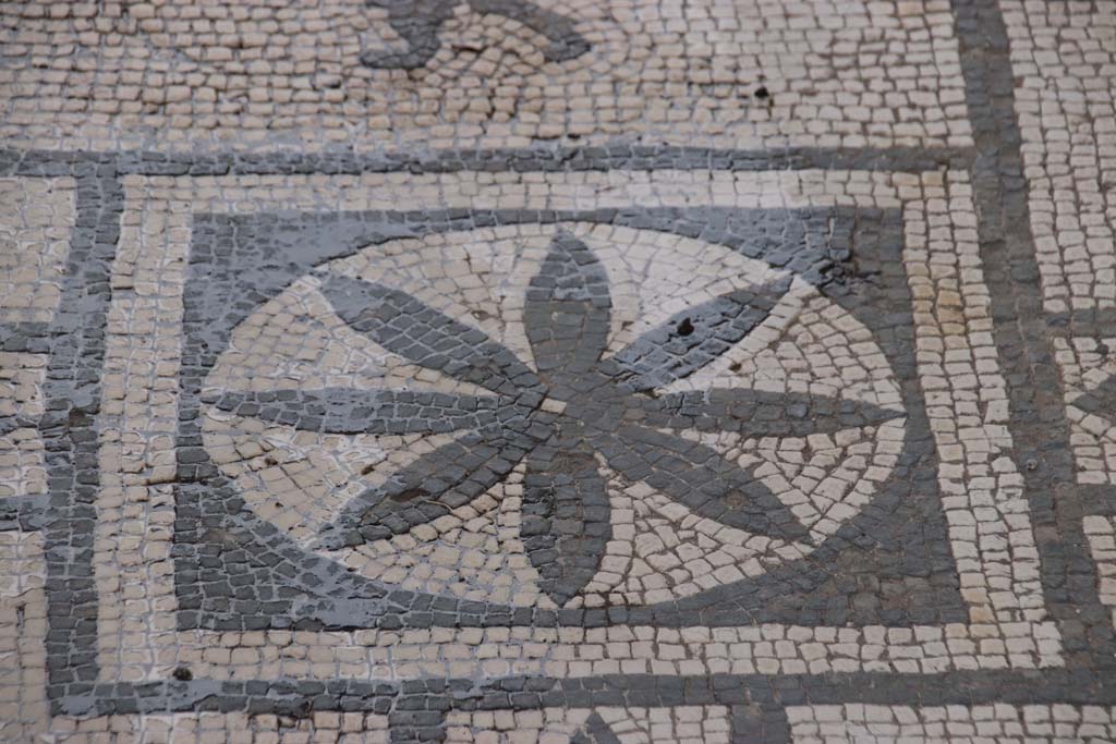 VIII.3.8 Pompeii. October 2020. Detail of mosaic in corridor/fauces. Photo courtesy of Klaus Heese. 