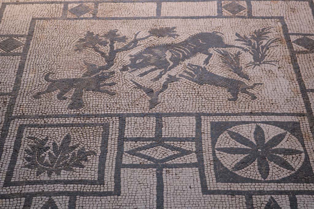 VIII.3.8, Pompeii., December 2018. Mosaic of boar (cinghiale) being attacked by dogs, from entrance corridor. Photo courtesy of Aude Durand.