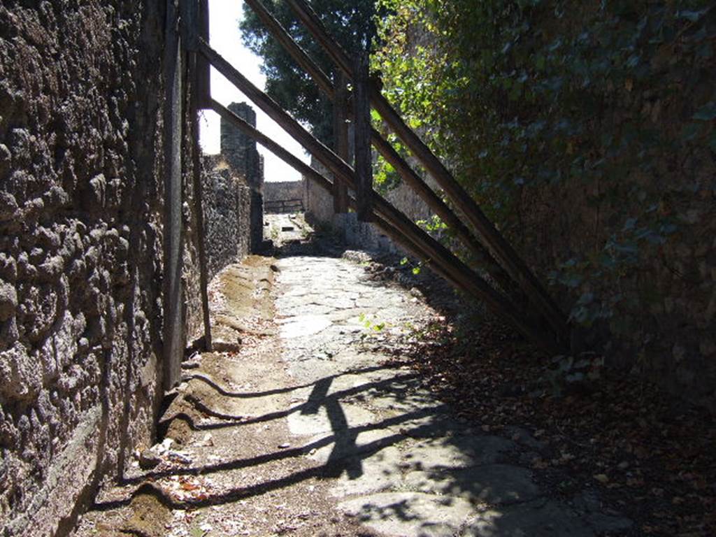 VIII.5 Pompeii.          Vicolo dei 12 Dei, looking south.                      VIII.3.13