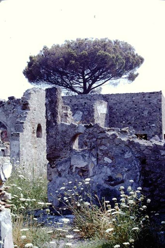 VIII.3.21 Pompeii. 1968. Looking east. Photo by Stanley A. Jashemski.
Source: The Wilhelmina and Stanley A. Jashemski archive in the University of Maryland Library, Special Collections (See collection page) and made available under the Creative Commons Attribution-Non Commercial License v.4. See Licence and use details.
J68f1181
