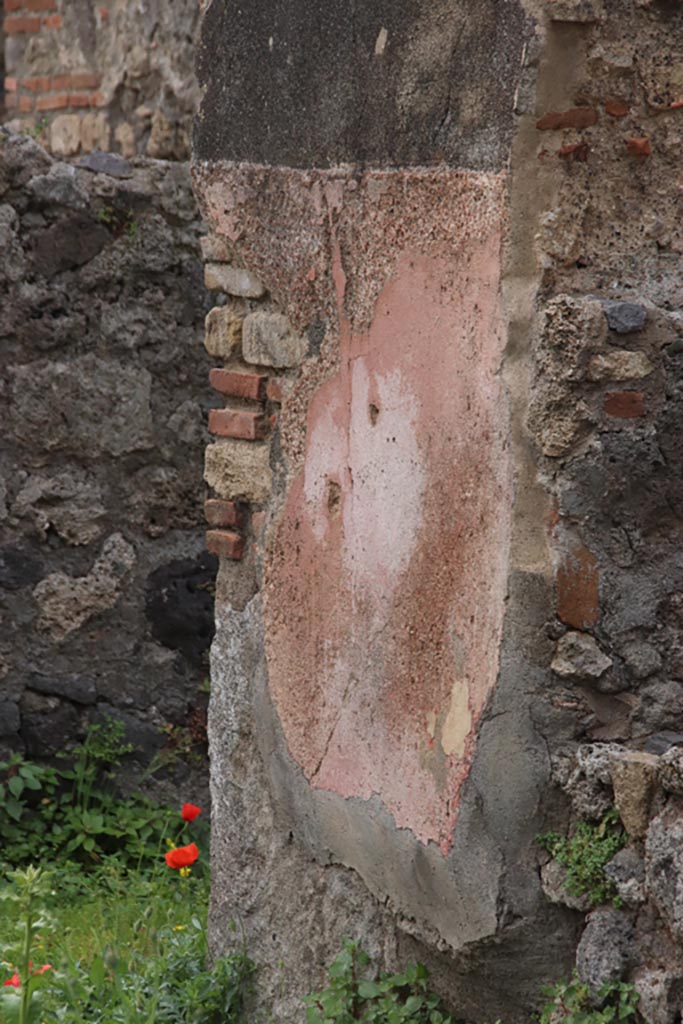 VIII.3.21 Pompeii. May 2024. 
Detail of remaining plaster on west wall at south end of window, photo taken over wall from VIII.3.24. 
Photo courtesy of Klaus Heese.
