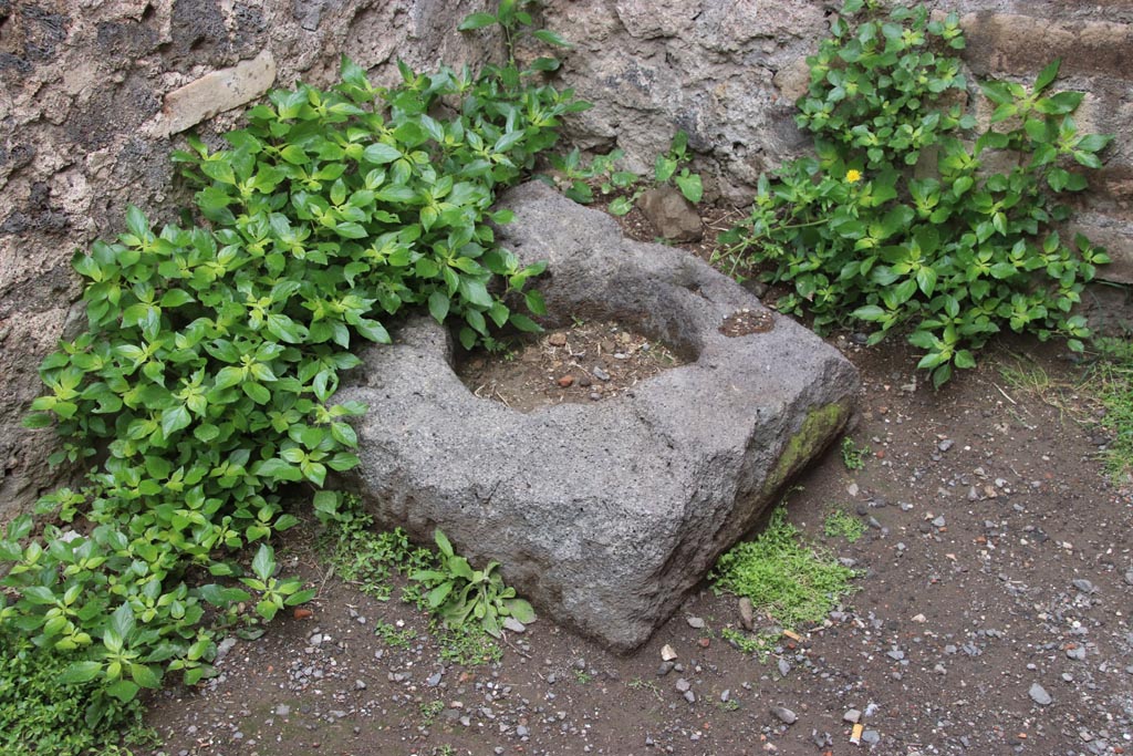 VIII.3.24 Pompeii. May 2024. Detail from north-west corner of room on south side of entrance corridor. Photo courtesy of Klaus Heese.