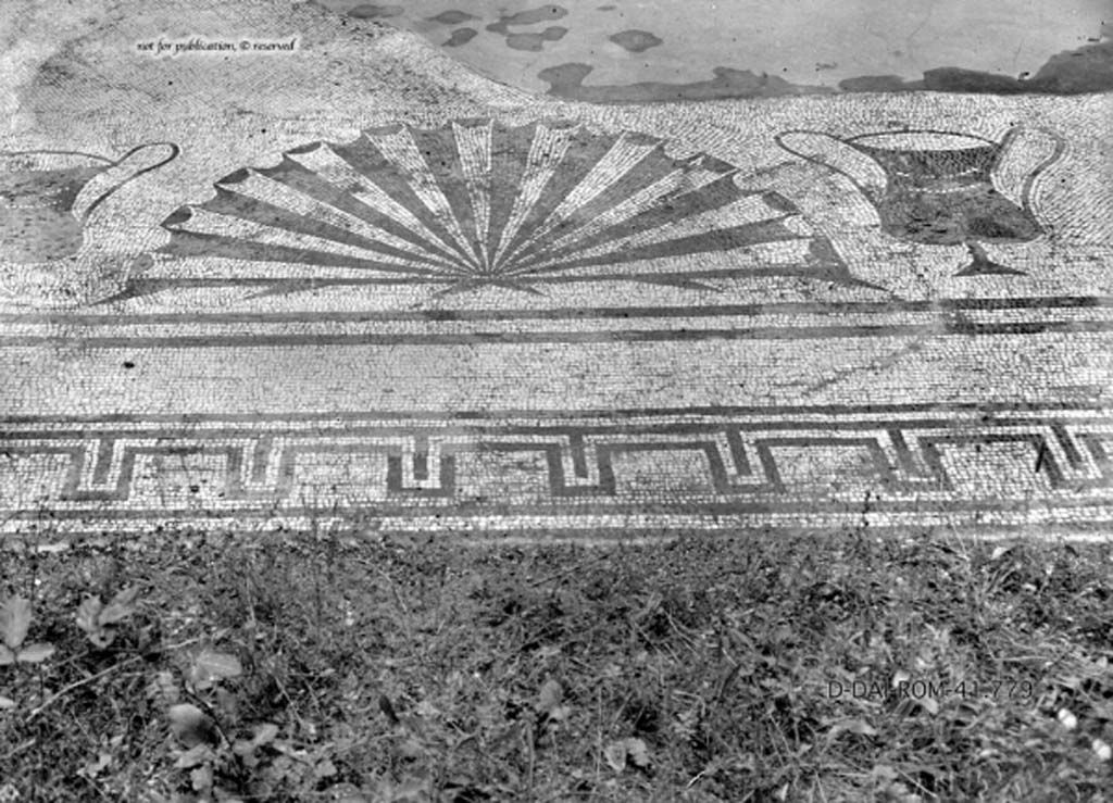 VIII.3.24 Pompeii. c.1930. Triclinium 6, room in the south-east corner of the house, decorated with a black and white mosaic.
Set in the flooring was a motif of a shell set between two craters (vases).
DAIR 41.779. Photo © Deutsches Archäologisches Institut, Abteilung Rom, Arkiv.
See Pernice, E.  1938. Pavimente und Figürliche Mosaiken: Die Hellenistische Kunst in Pompeji, Band VI. Berlin: de Gruyter, (tav. 50.2, above.)
