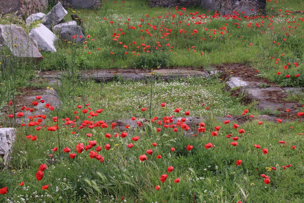 VIII.3.31 Pompeii. May 2024. Looking east across impluvium in atrium. Photo courtesy of Klaus Heese.