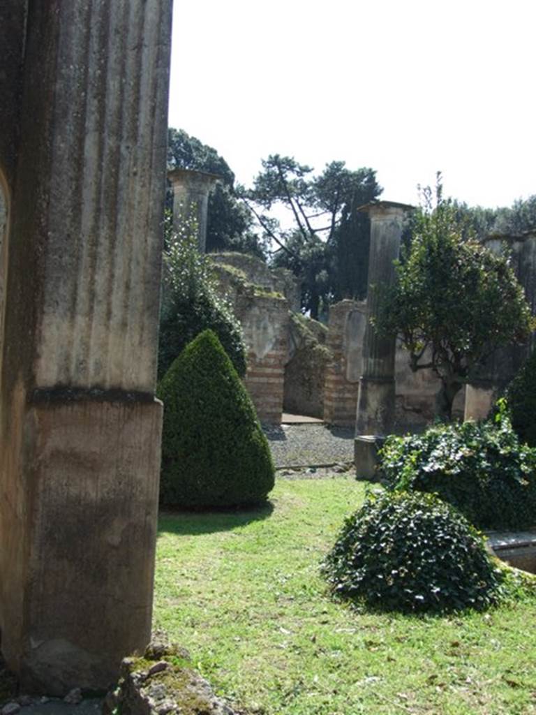 VIII.4.4 Pompeii.  March 2009.  Looking south across garden.